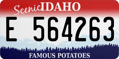 ID license plate E564263