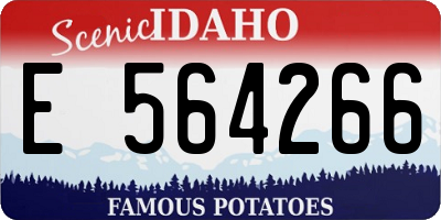 ID license plate E564266