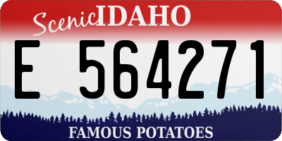 ID license plate E564271