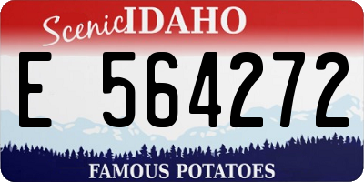 ID license plate E564272