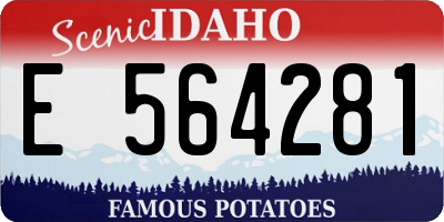 ID license plate E564281