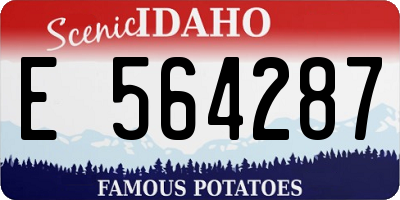 ID license plate E564287