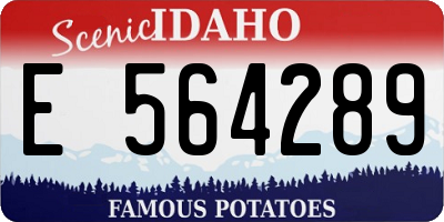 ID license plate E564289