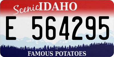 ID license plate E564295