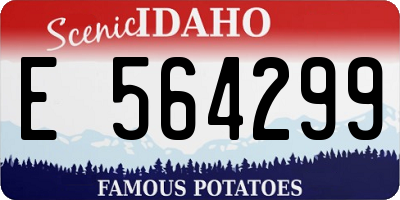 ID license plate E564299