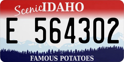 ID license plate E564302