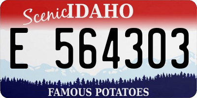 ID license plate E564303