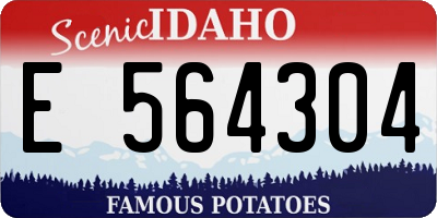 ID license plate E564304