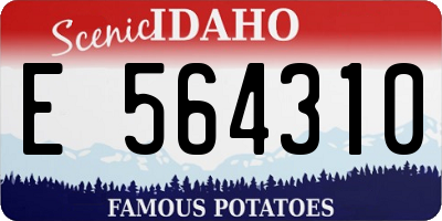 ID license plate E564310