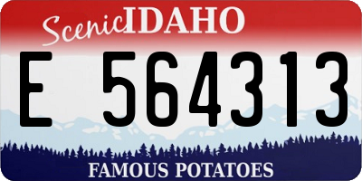 ID license plate E564313