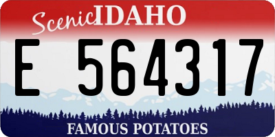 ID license plate E564317