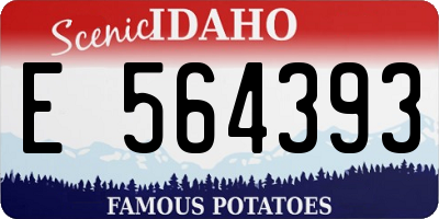 ID license plate E564393