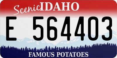 ID license plate E564403