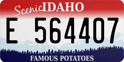 ID license plate E564407
