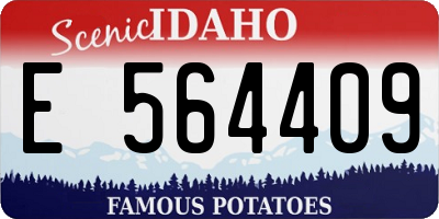 ID license plate E564409