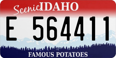 ID license plate E564411
