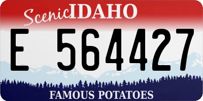 ID license plate E564427