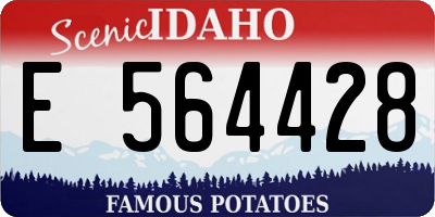 ID license plate E564428
