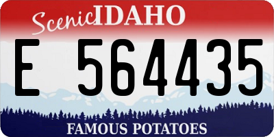 ID license plate E564435