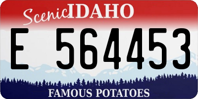 ID license plate E564453