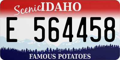 ID license plate E564458