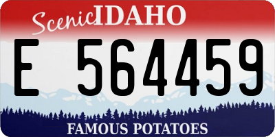 ID license plate E564459