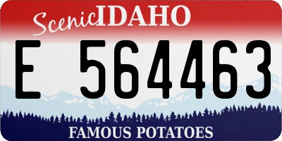 ID license plate E564463