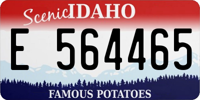 ID license plate E564465
