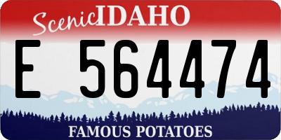 ID license plate E564474