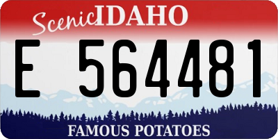 ID license plate E564481