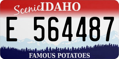 ID license plate E564487