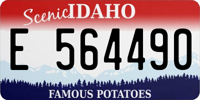 ID license plate E564490
