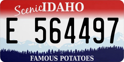 ID license plate E564497