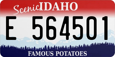 ID license plate E564501