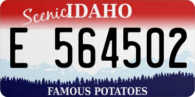 ID license plate E564502