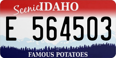 ID license plate E564503