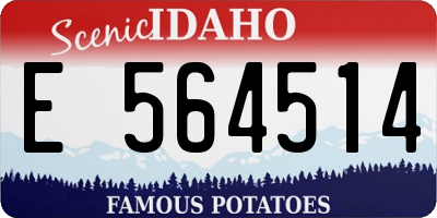ID license plate E564514
