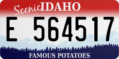 ID license plate E564517