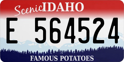 ID license plate E564524