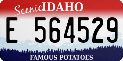ID license plate E564529