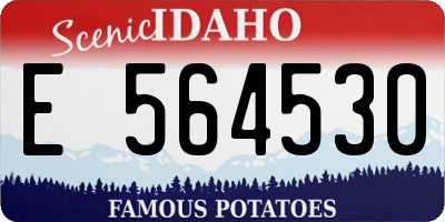 ID license plate E564530