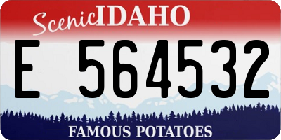 ID license plate E564532