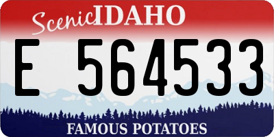 ID license plate E564533