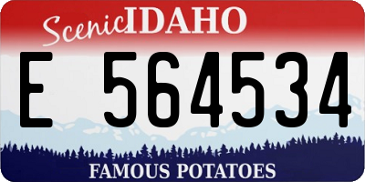 ID license plate E564534