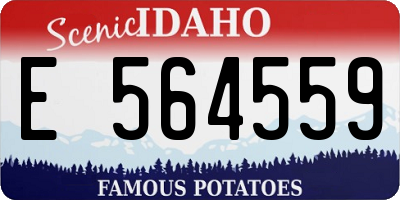 ID license plate E564559