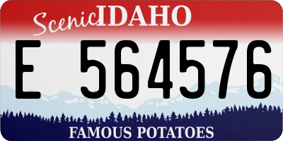 ID license plate E564576