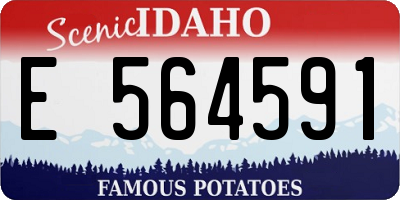 ID license plate E564591