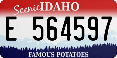 ID license plate E564597