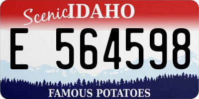 ID license plate E564598