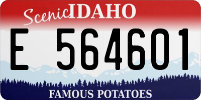ID license plate E564601
